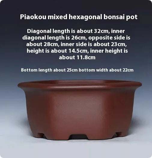 Square purple clay succulent bonsai pot in classical design for tabletop or floor plant display