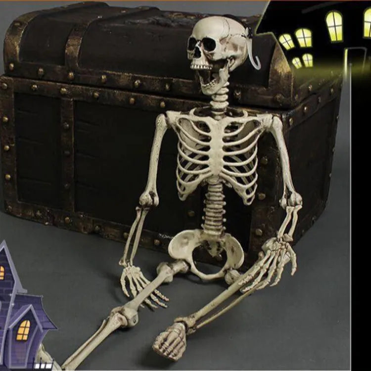 Full-size 170cm tall plastic skeleton prop with detailed skull and bone structure