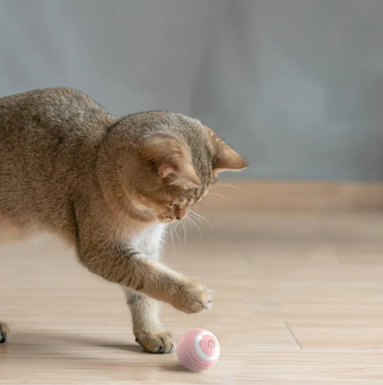 Blue and pink automatic self-moving silicone cat toy ball with charging cable.