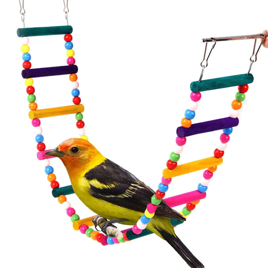 Wooden parrot climbing ladder with colourful rotating beads for bird cage enrichment
