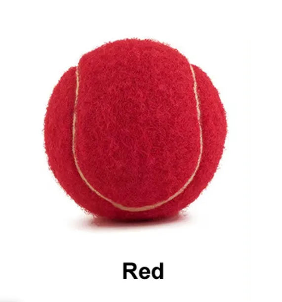 Rubber dog tennis ball toy in bright colours showing 6.3cm diameter size
