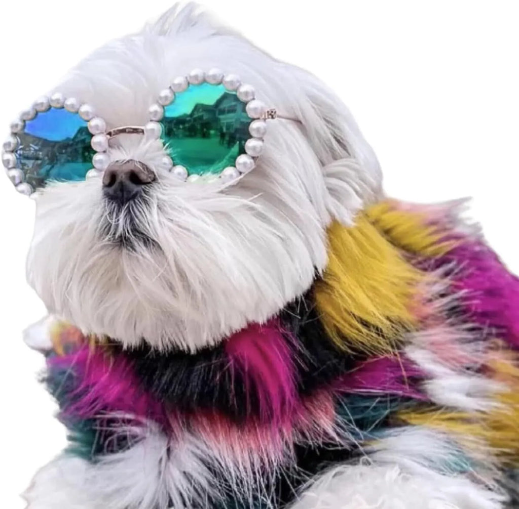 Round pearl-rimmed sunglasses for a cat or dog, shown in multiple colours including black, blue, and orange.