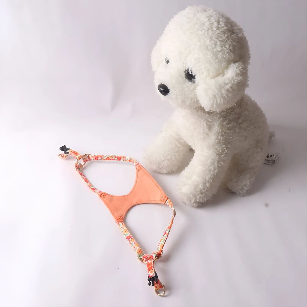 Floral pattern pet harness with matching leash in cloth material showing colour options and single chest back design