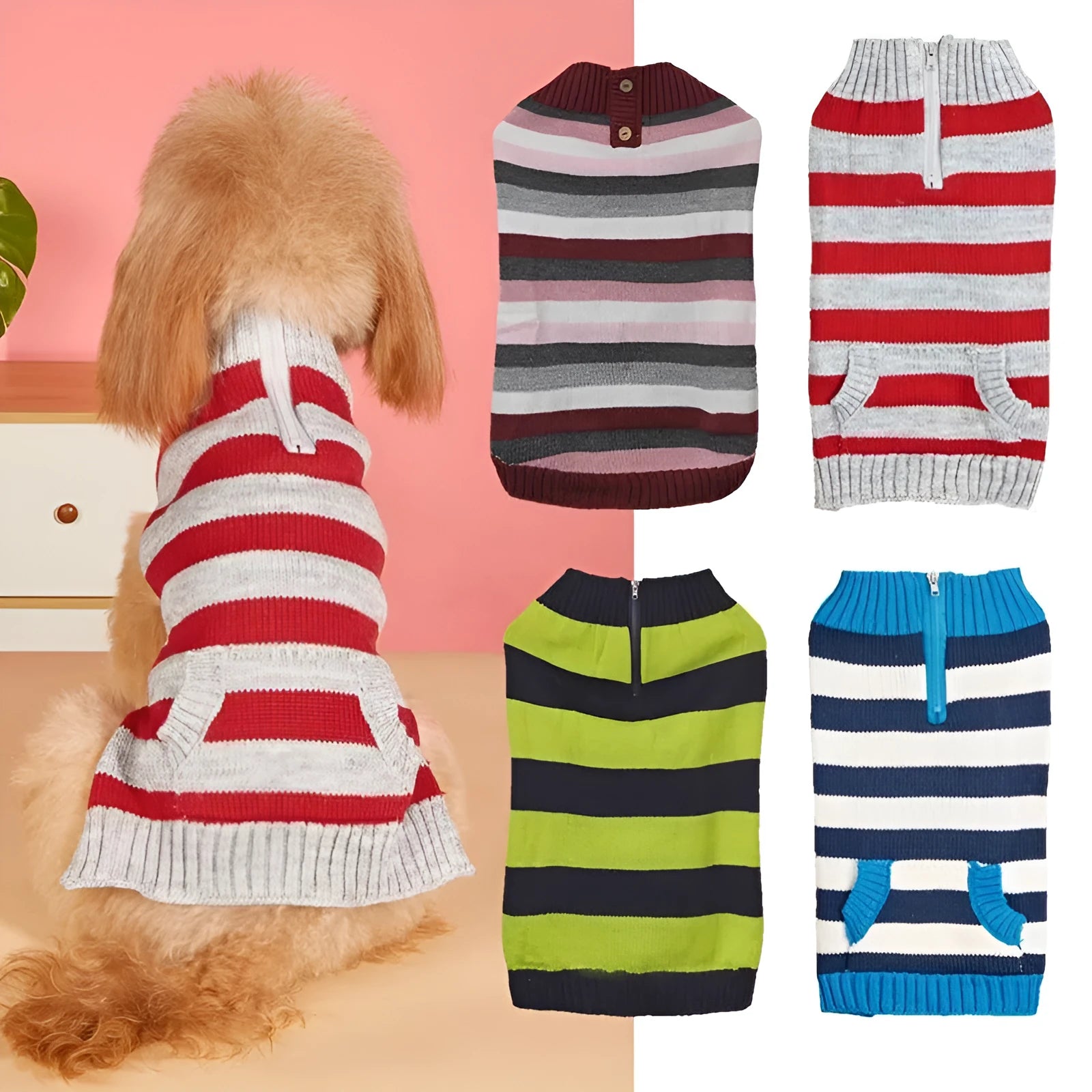 Grey acrylic dog sweater on a small dog, showing horizontal zipper and button pocket.