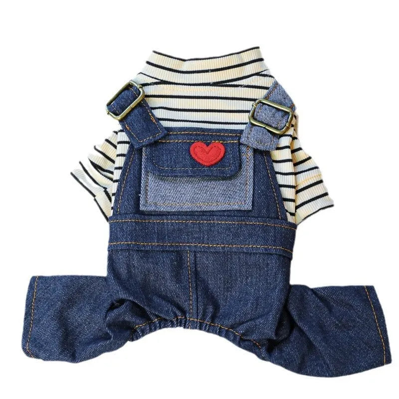 Dog wearing CWQ retro denim four-legged suspender pants in princess style, standing outdoors.