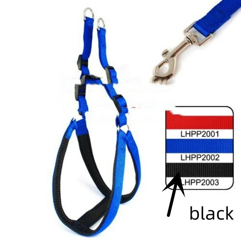 Blue soft lining polypropylene foam pet harness traction belt with nylon webbing and chest strap on white background