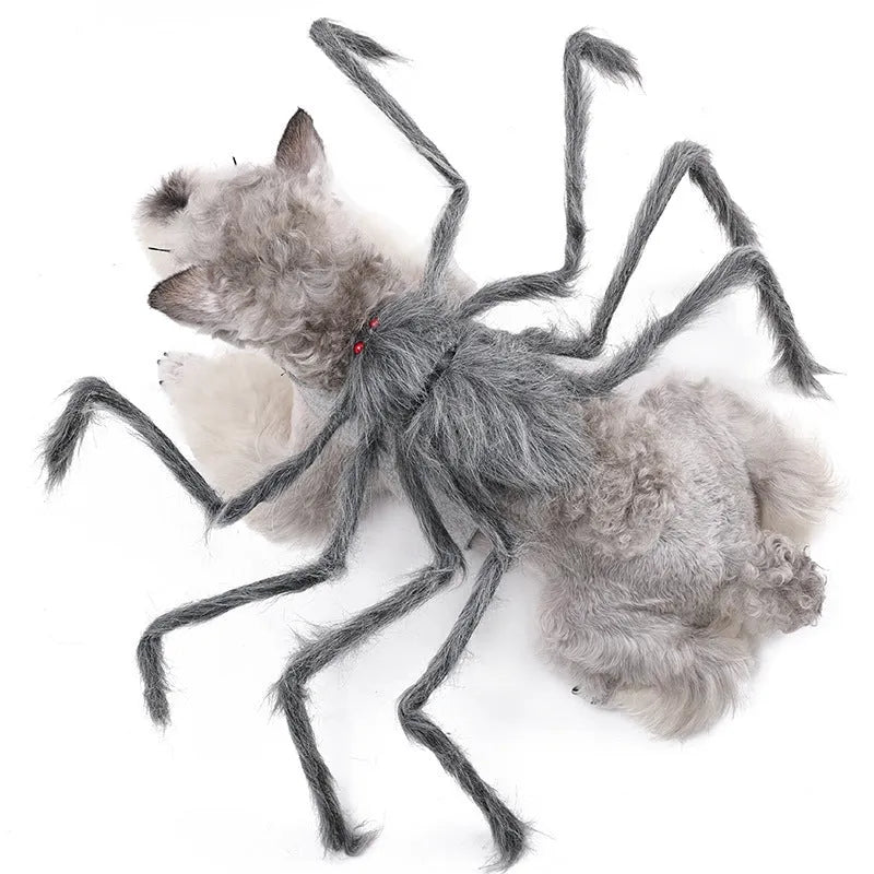 Grey polyester spider Halloween costume for a dog, shown in size M.