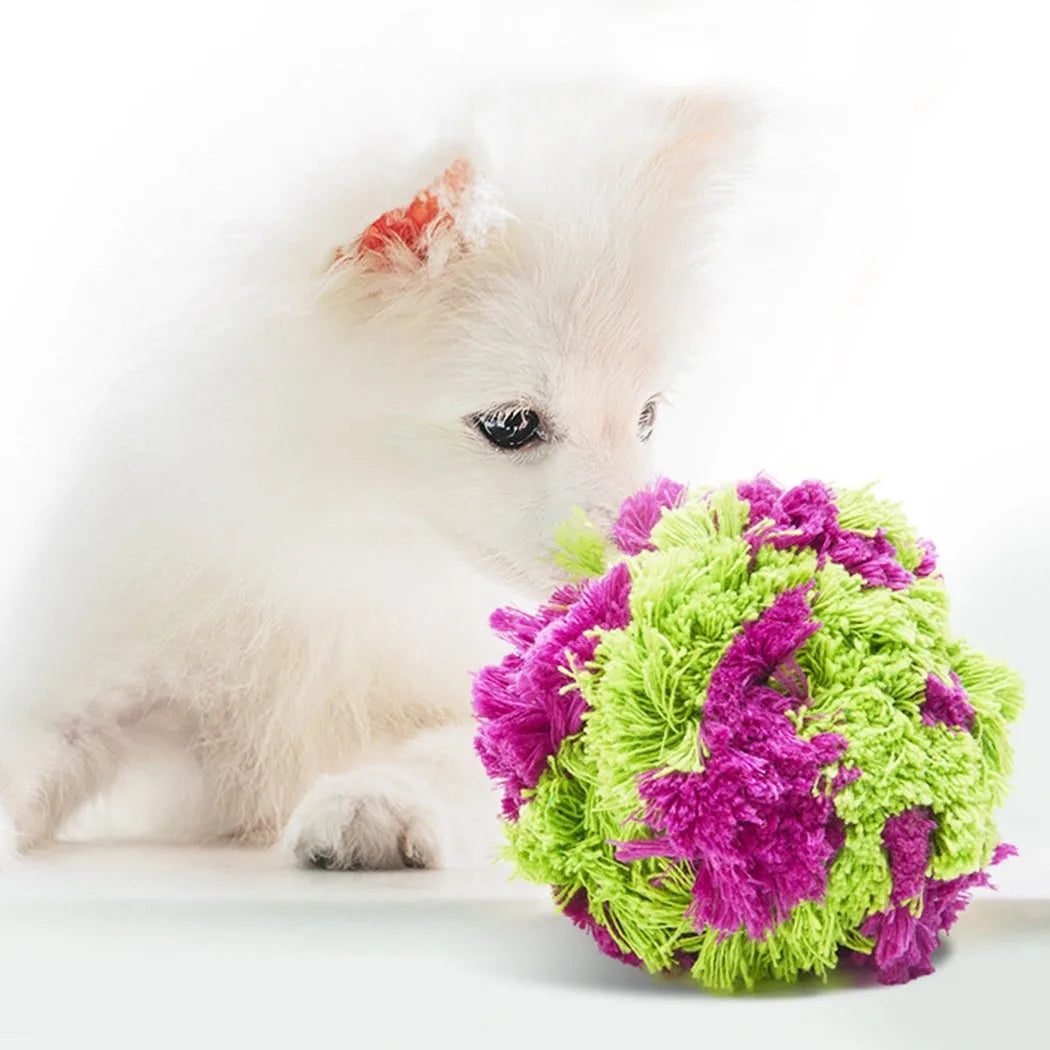 Purple plush sea ball dog chew toy approximately 15cm diameter for teething puppies