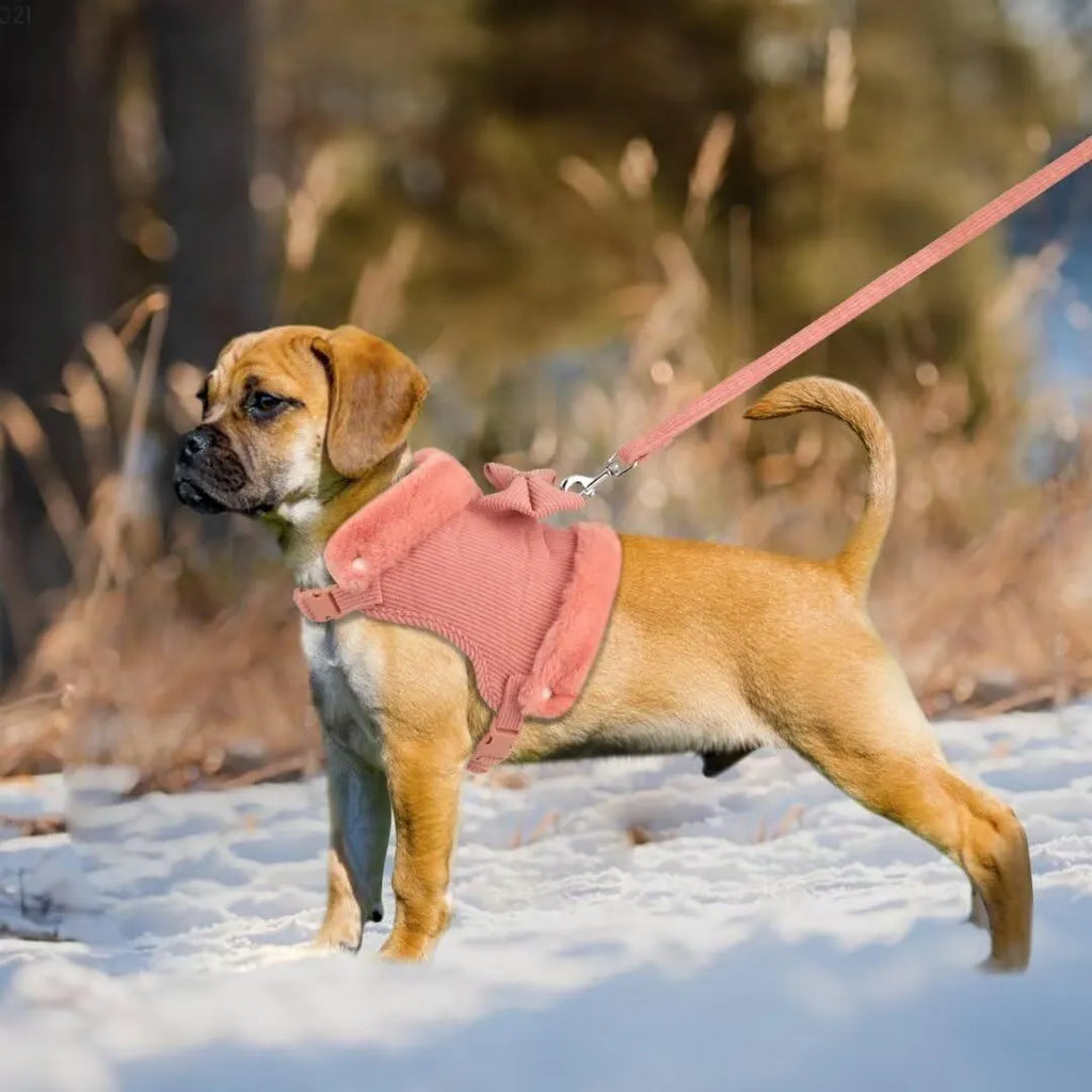 Small dog harness and leash set with bow tie, removable fur collar, padded adjustable harness and 150cm lead