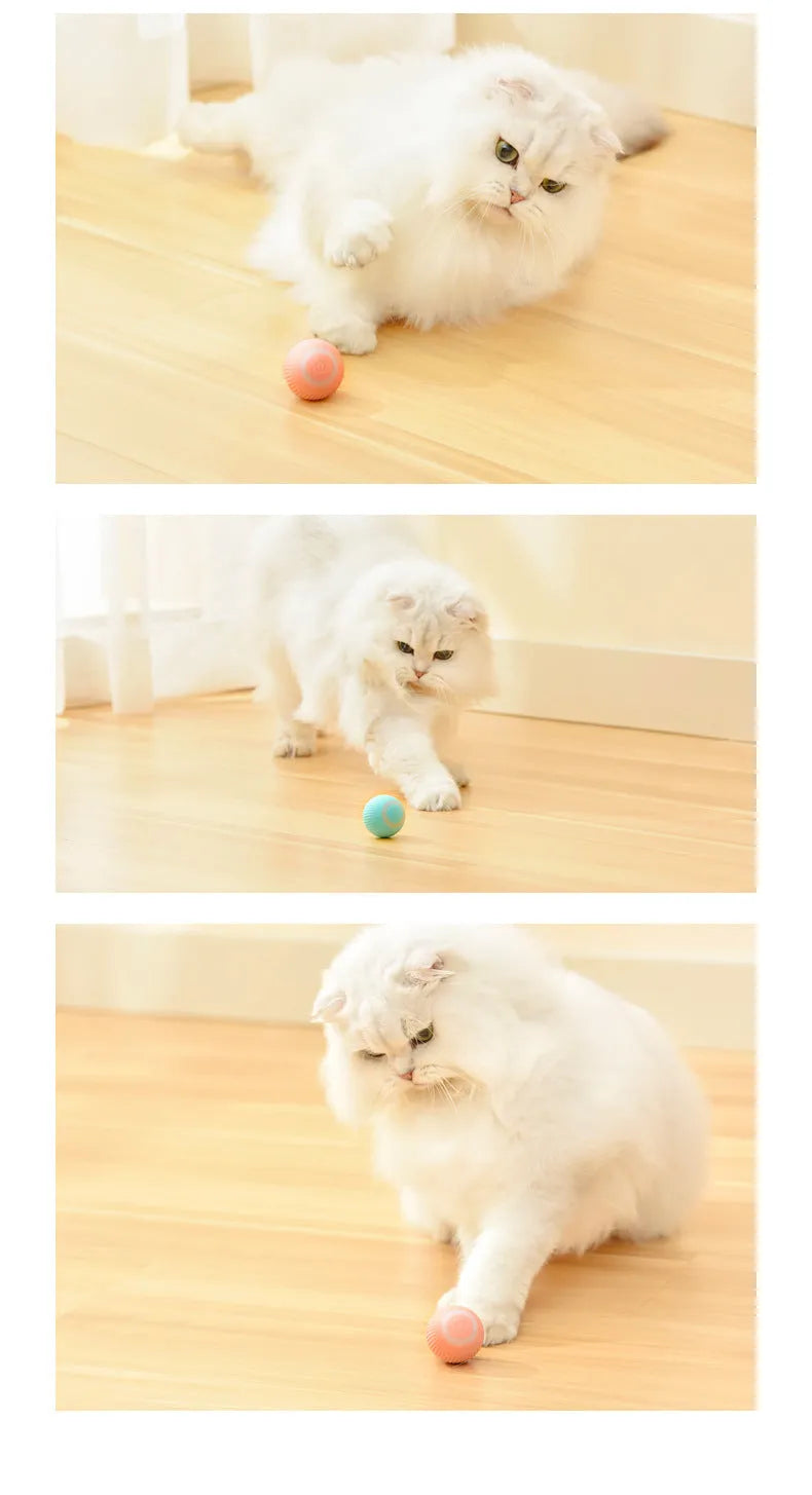 Cat Gravity Intelligent Rolling Ball 43mm automatic rotating ball in green, with bionic motion obstacle avoidance on a hard floor