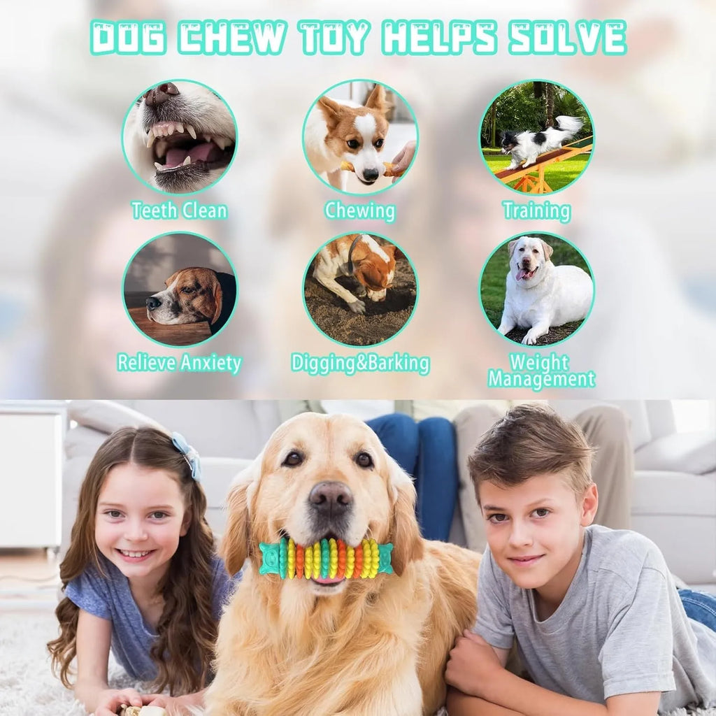 Blue natural rubber caterpillar-shaped dog chew toy for aggressive chewers.