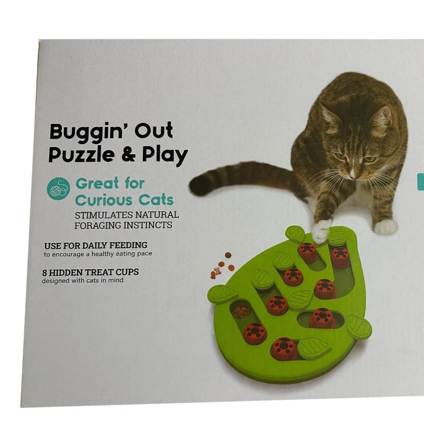 Green PP plastic Christmas slow feeding bowl with Wizard of Oz theme for cats