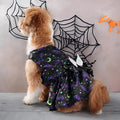 Dog wearing orange angel wings Halloween costume with a chest strap.