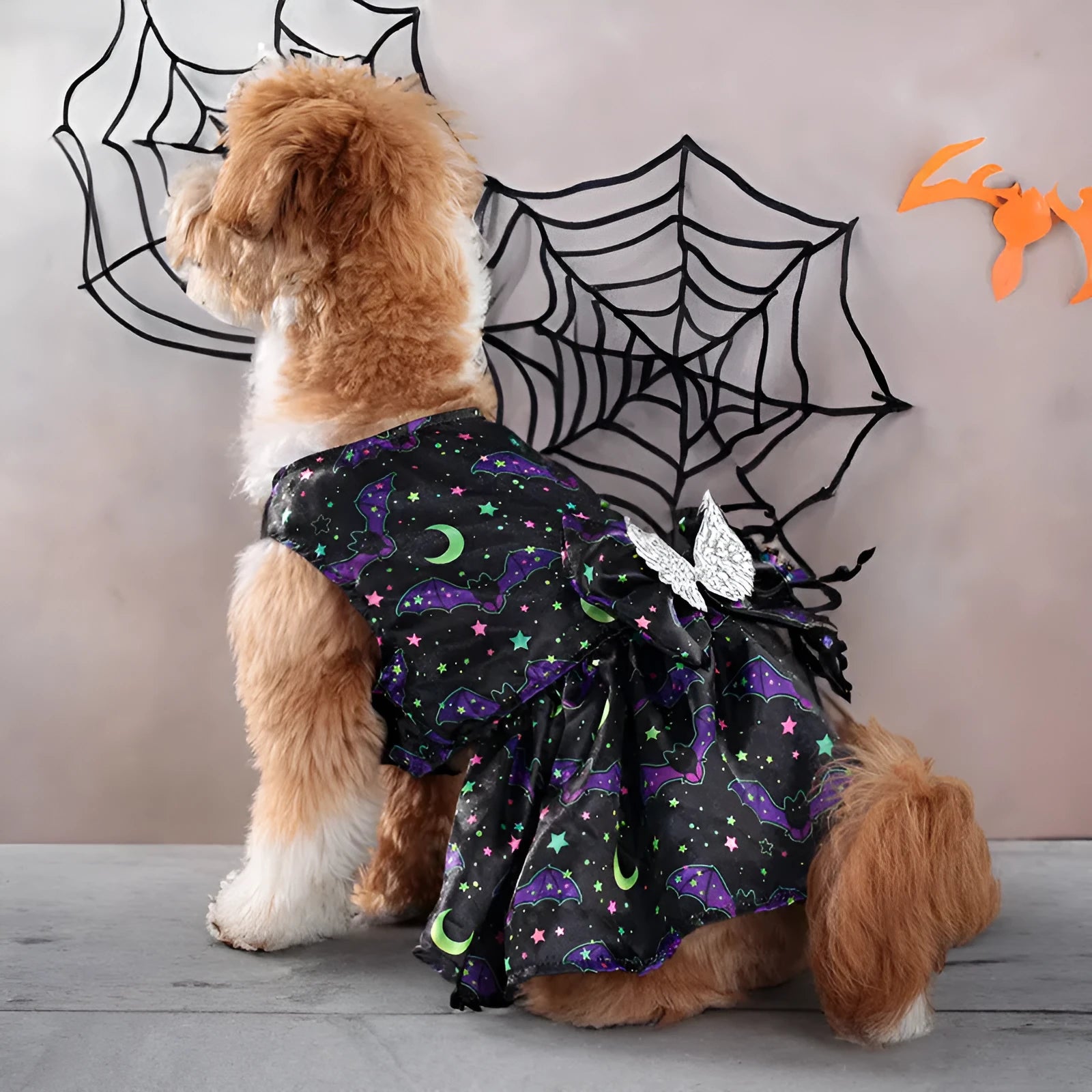 Dog wearing orange angel wings Halloween costume with a chest strap.