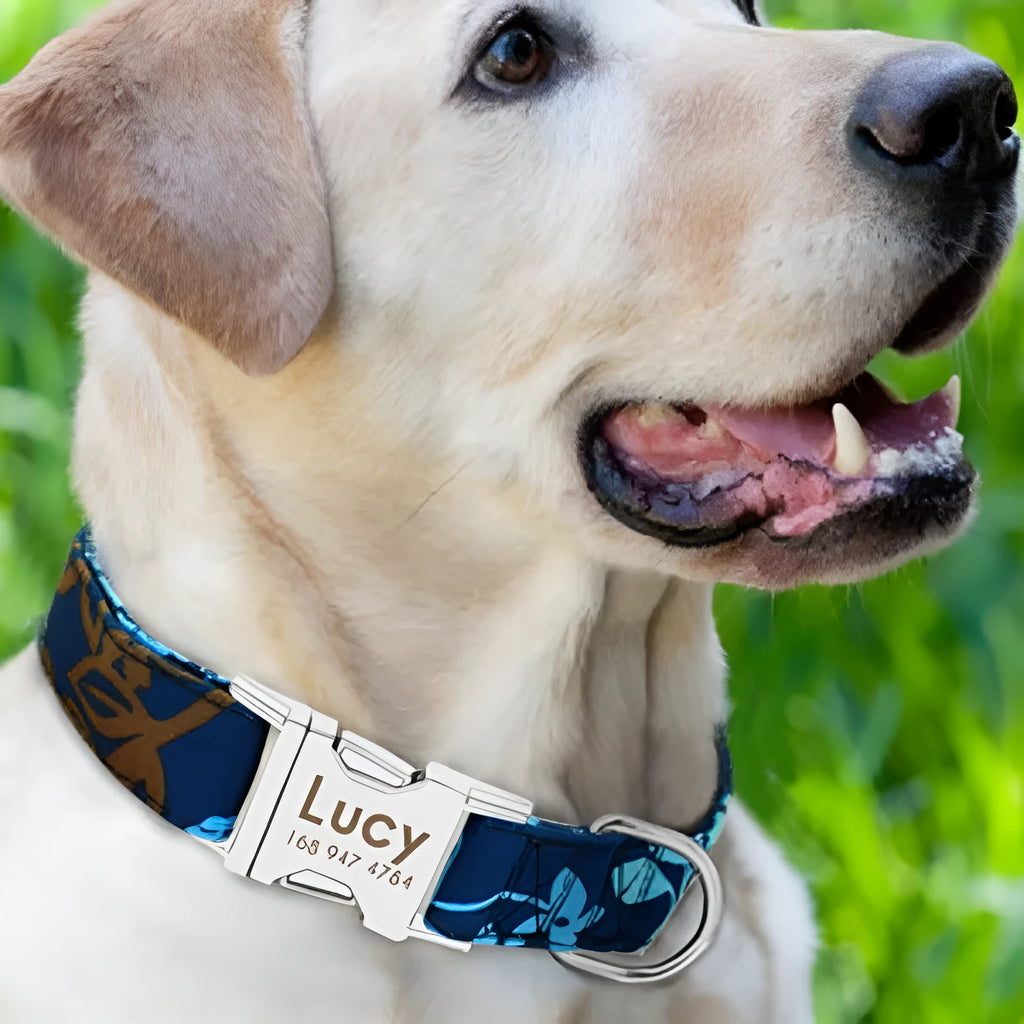 Nylon dog collar in green with metal buckle on white background