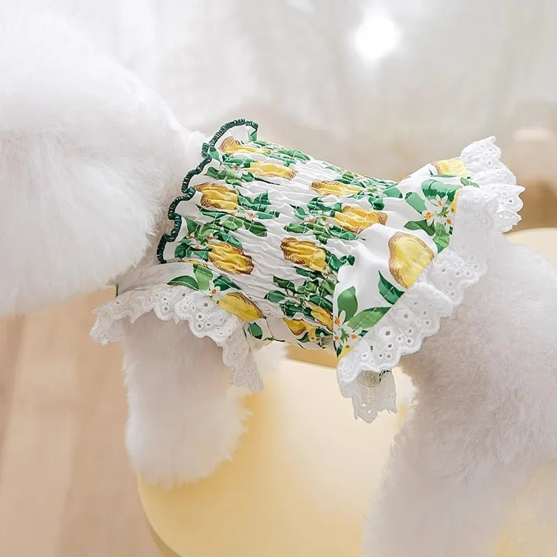 Rock yellow lemon polyester dog skirt with adjustable straps on small dog