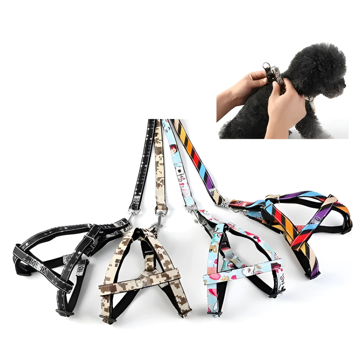 Cowboy print nylon dog leash in black, carton, colourful, or grey, adjustable basic leash for small dogs and puppies.
