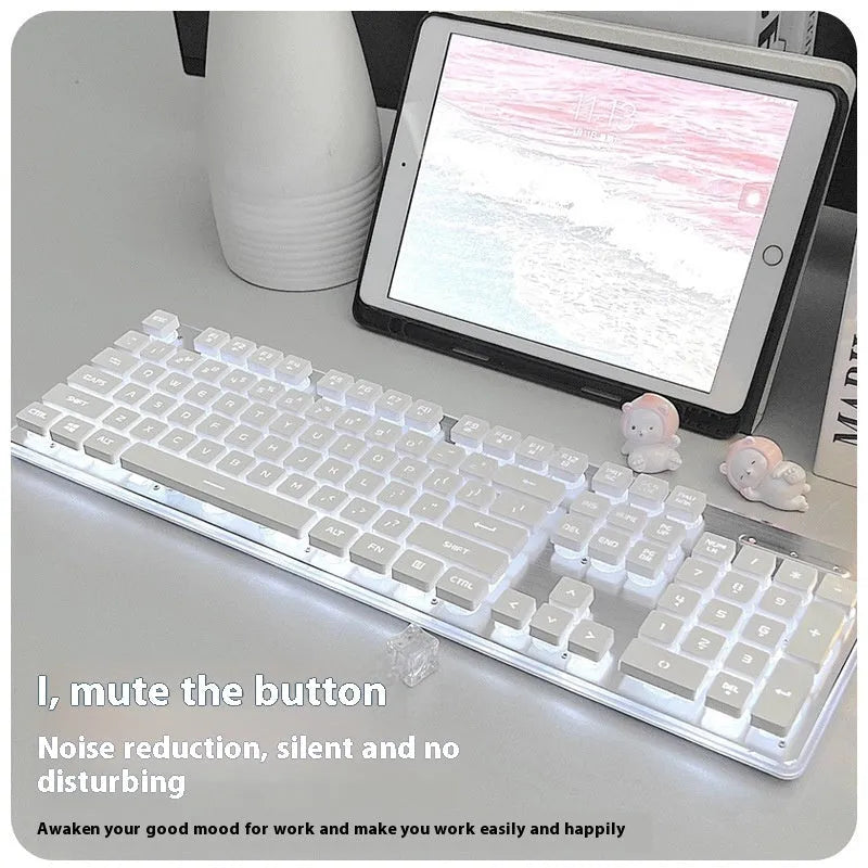 Wired mechanical feeling keyboard with button mute and multiple colour lighting options on desk