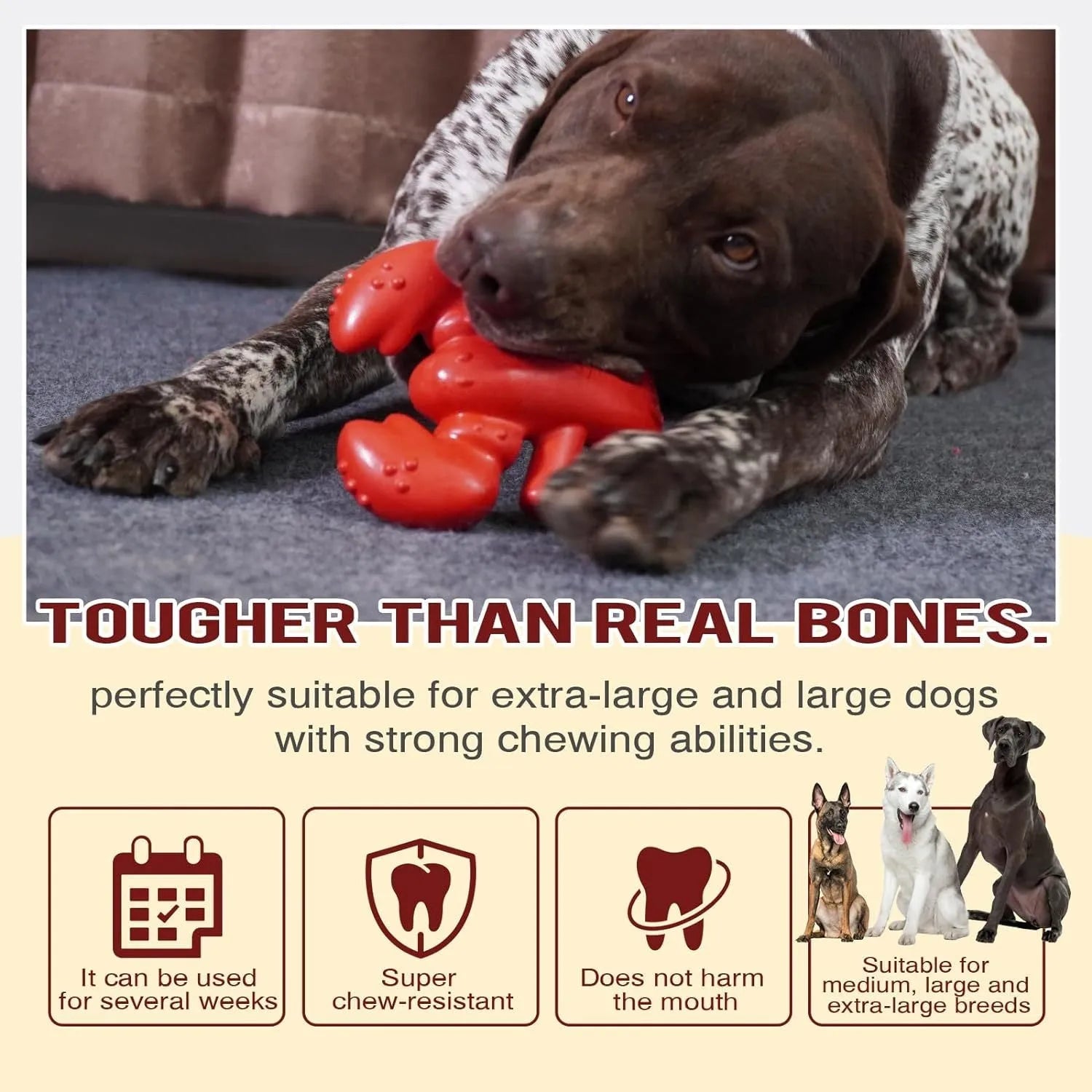 Red nylon dog chew bone for large breed aggressive chewers