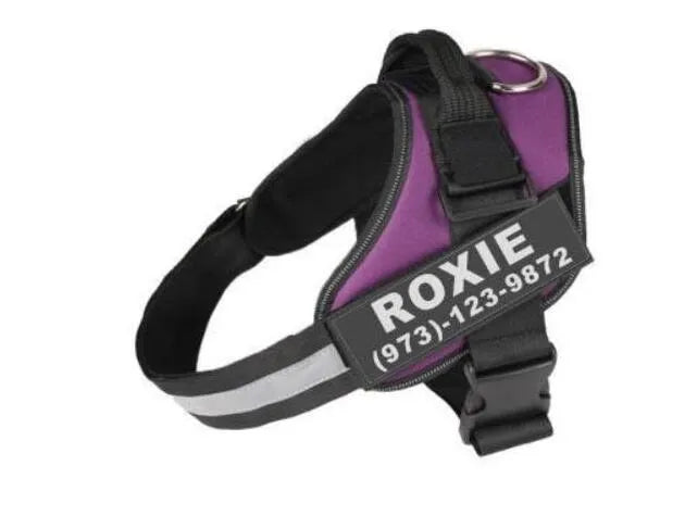 Reflective adjustable no-pull dog harness with handle on black labrador