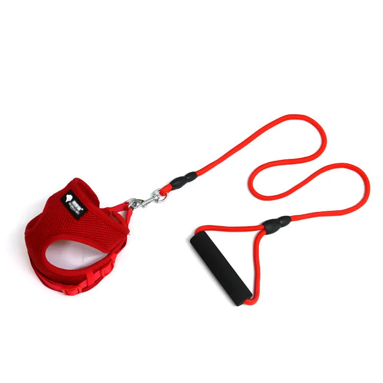 Blue dog leash with a foam handle and an adjustable nylon collar laid flat.