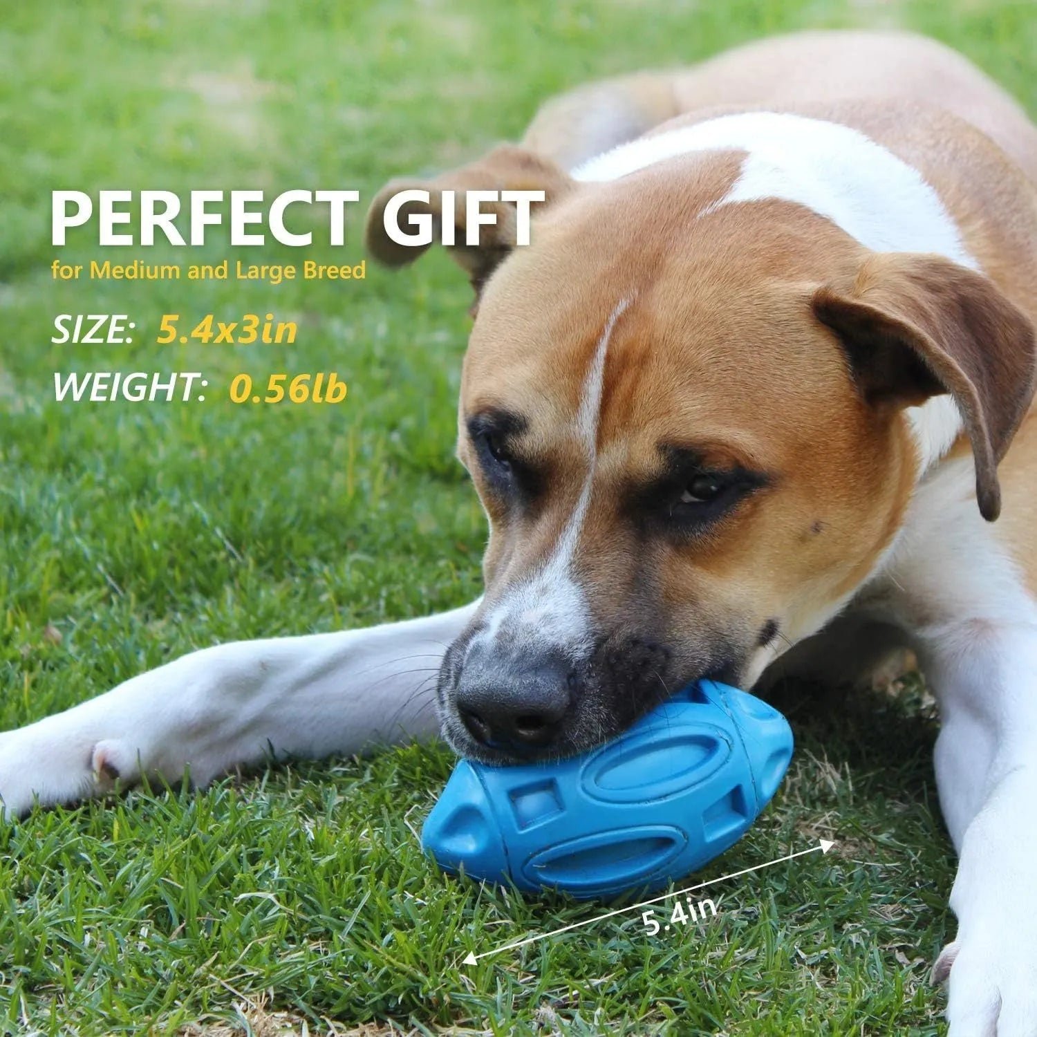 Blue natural rubber squeaky dog toy ball with surface grooves for medium and large breed aggressive chewers