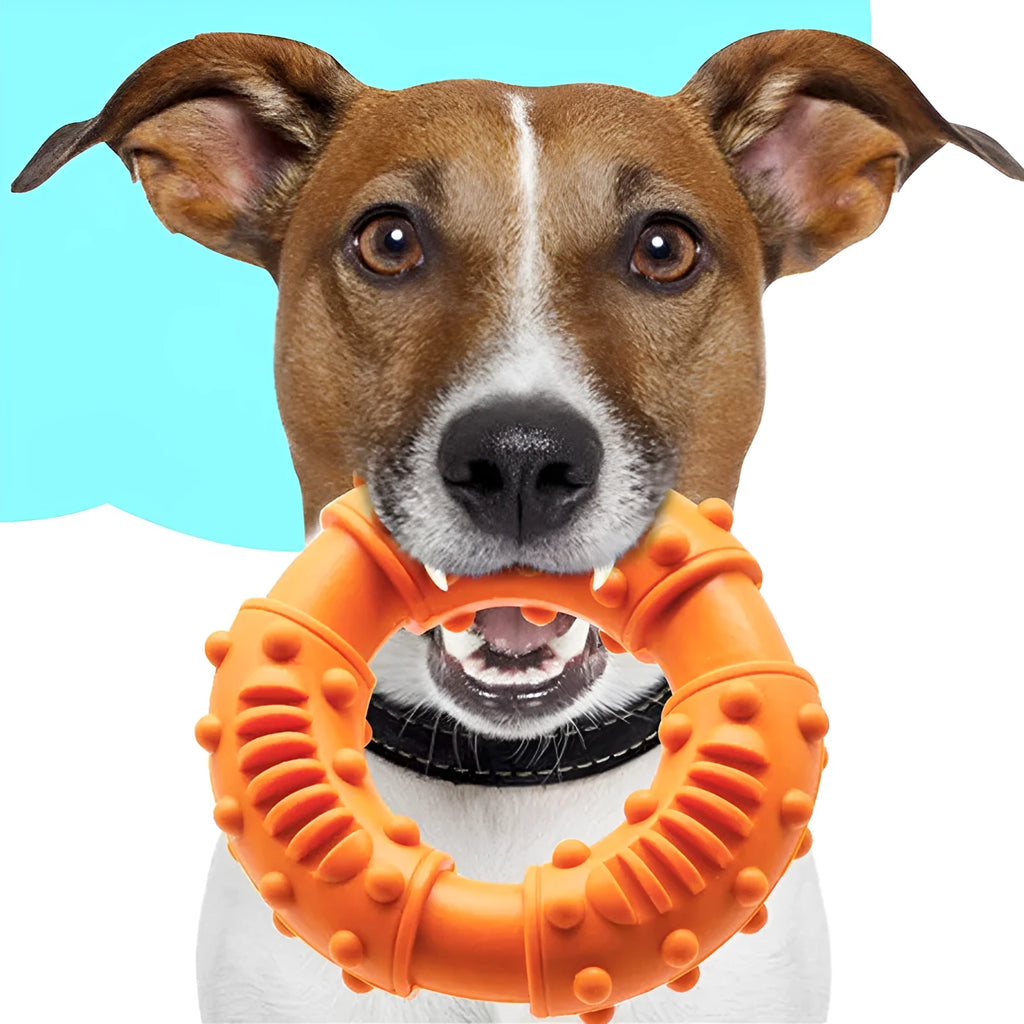 Blue, orange, and red hollow dog fetching stick toy for safe chew and retrieve games.