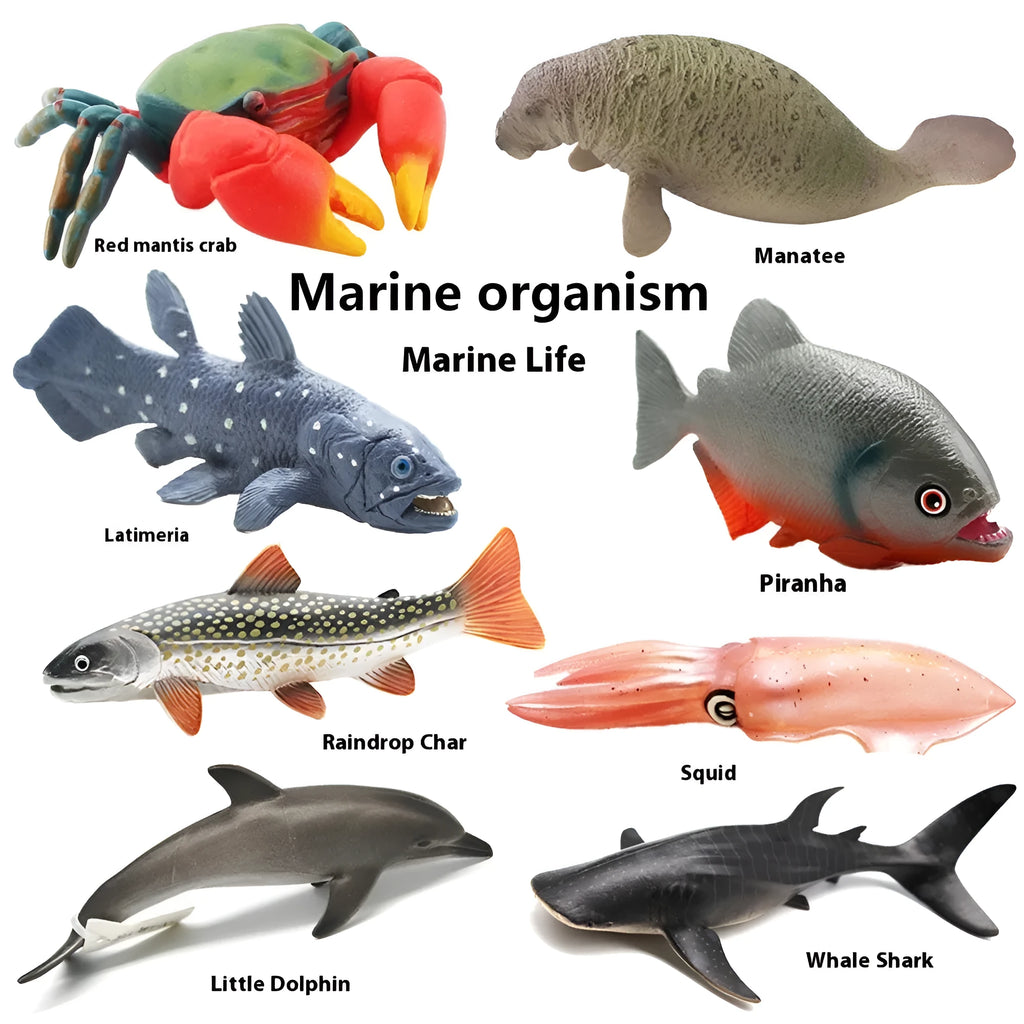 Solid PVC marine life model fish figure, 16 x 5.5 x 5.7 cm, for ages 7 to 14