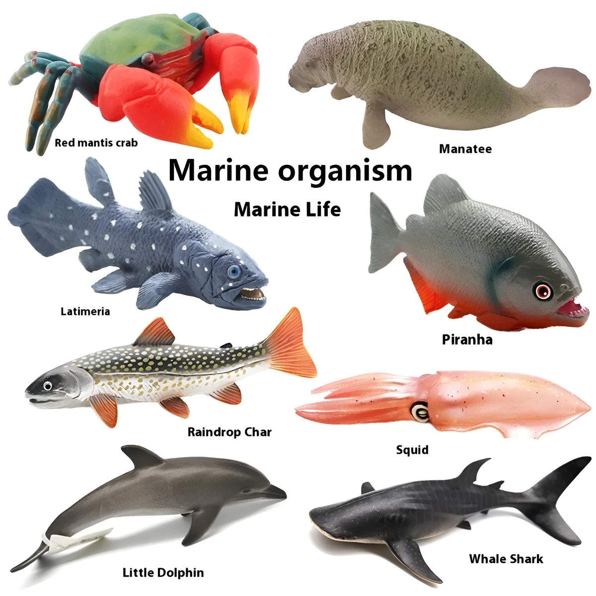 Solid PVC marine life model fish figure, 16 x 5.5 x 5.7 cm, for ages 7 to 14