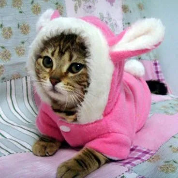 Fleece pet hoodie with rabbit design in pink or red, sizes XS to XL, for cats and small puppies