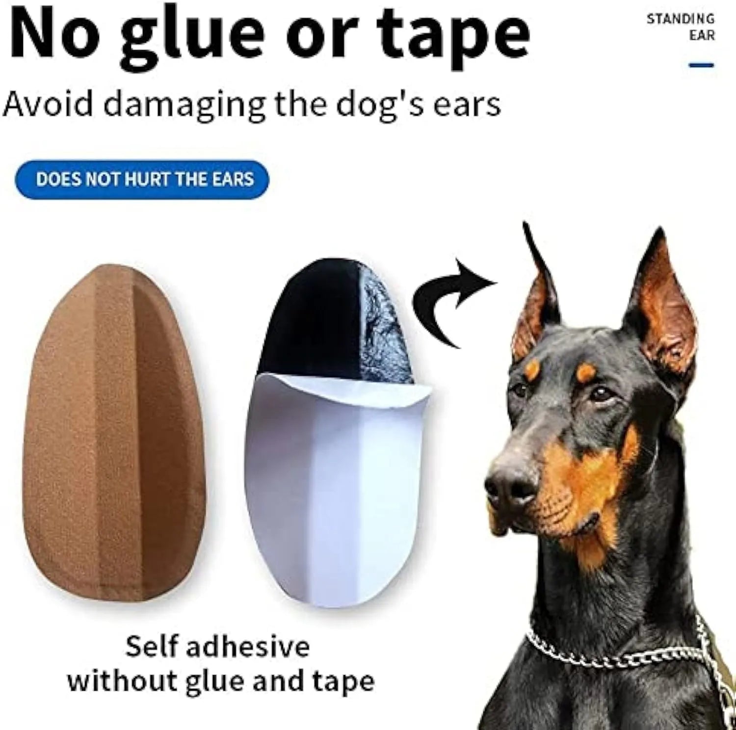 Dog ear stand up support sticker on Doberman puppy ear with adjustable fit