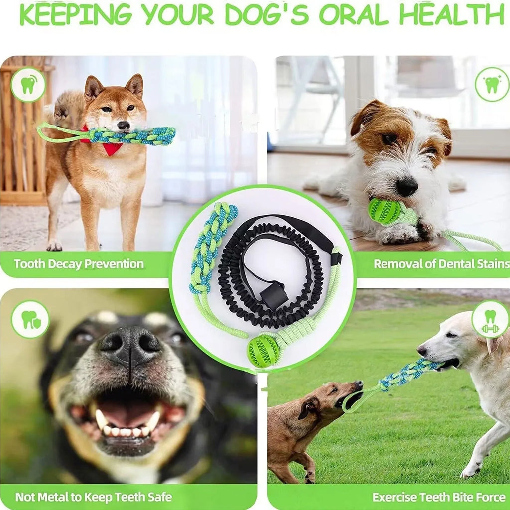 Green cotton rope dog toy with corncob design for tug of war and biting.