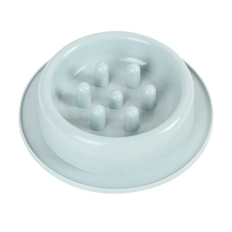 Pet slow eating feeder bowl in blue PP plastic with raised internal sections and non-slip base