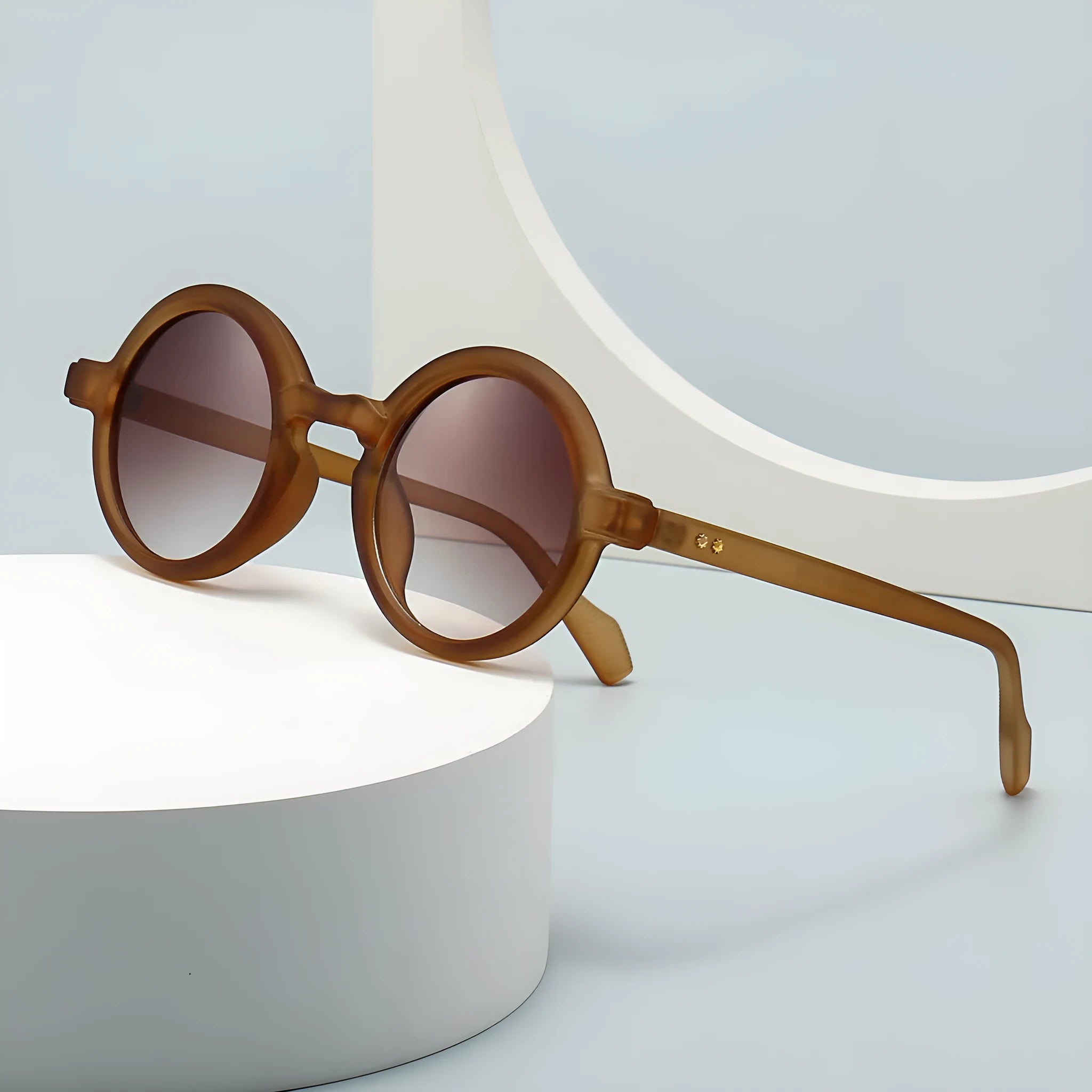 Round retro sunglasses C2 Black Frame Double Gray plastic frame UV400 protection
