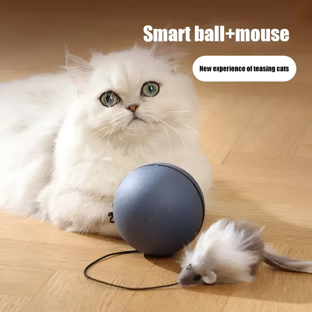 Automatic cat teasing ball toy with plush mouse in blue orange and dark grey colours
