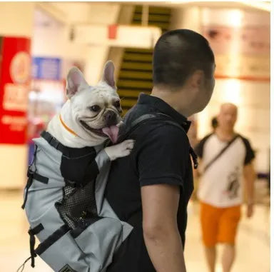 Ventilated pet backpack carrier with mesh breathable strap and safety buckle, polyester, in black, blue, grey or red