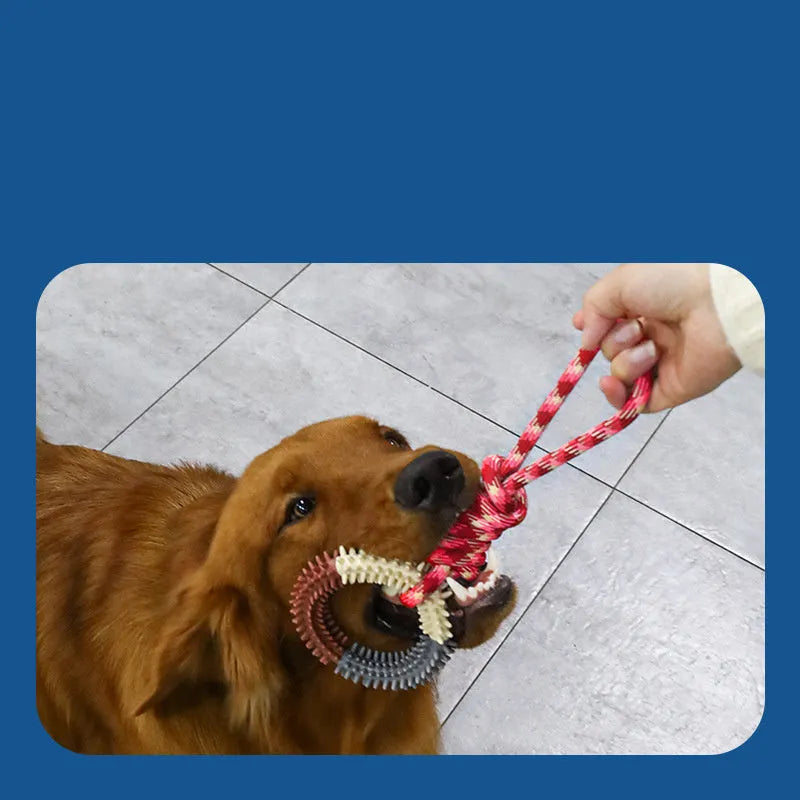 Blue braided rope dog toy with multiple knots, measuring 43cm long, on a white background.