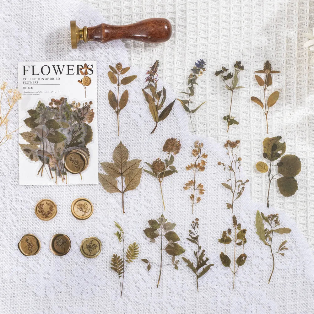 Creative dried flowers journal decoration sticker package showing eight modern art design styles