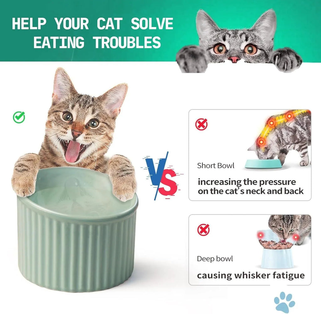 Elevated ceramic cat bowl in green colour showing raised design for feeding