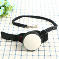 Automatic retractable dog leash with colourful options and 3-metre nylon cord
