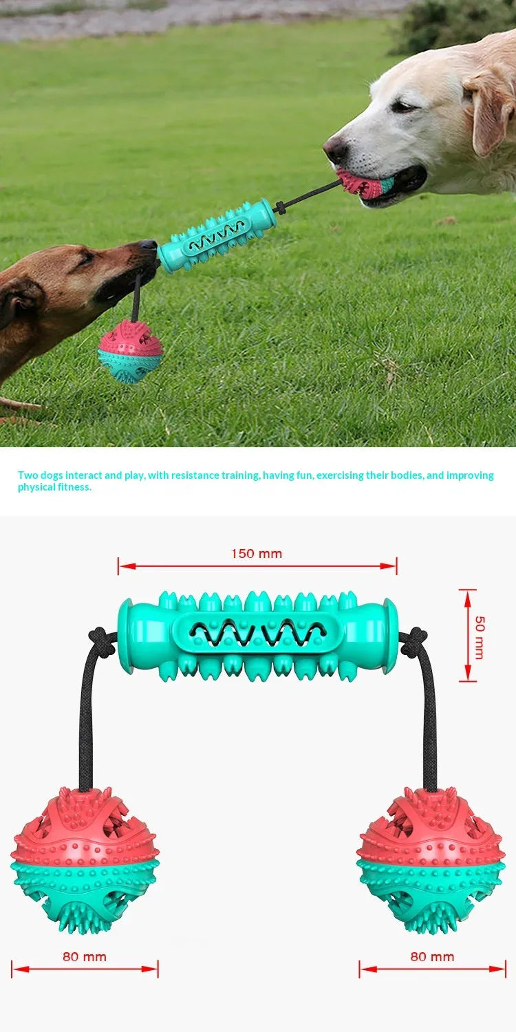 TPR dog chew stick toy with ball and serrated sections in Red and Blue, Blue, or Green