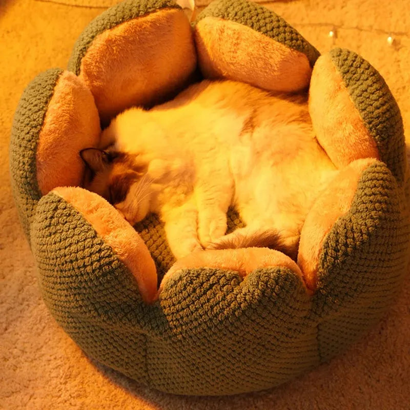 Cactus petal shaped plush pet kennel in green colour with enclosed sleeping space