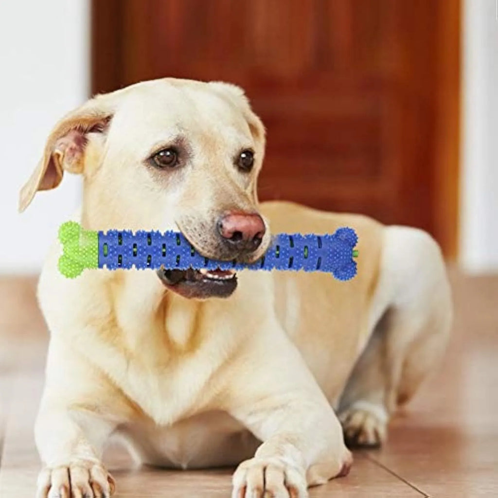Blue and green silicone dog dental chew toy with brush-head texture and nodule design for cleaning teeth.