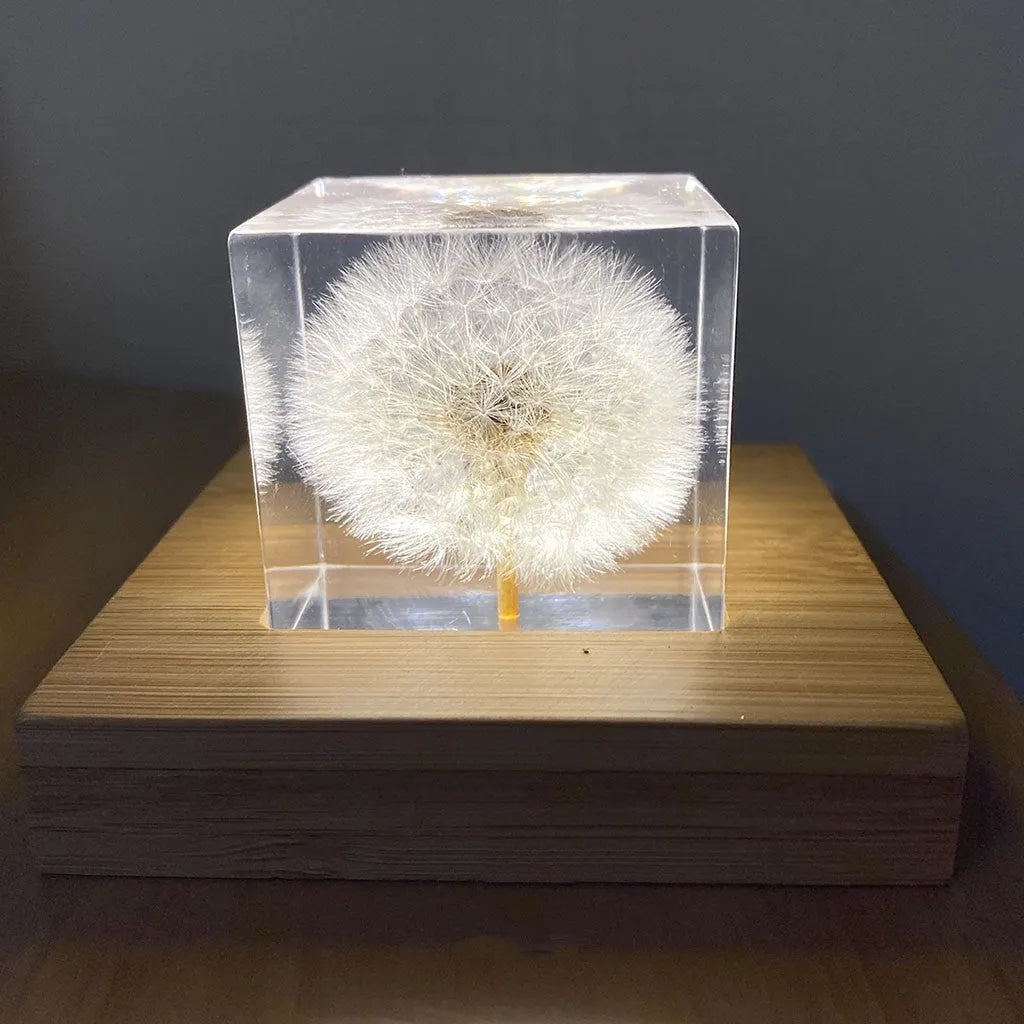 5cm transparent resin cube containing real preserved dandelion flower with USB charging base