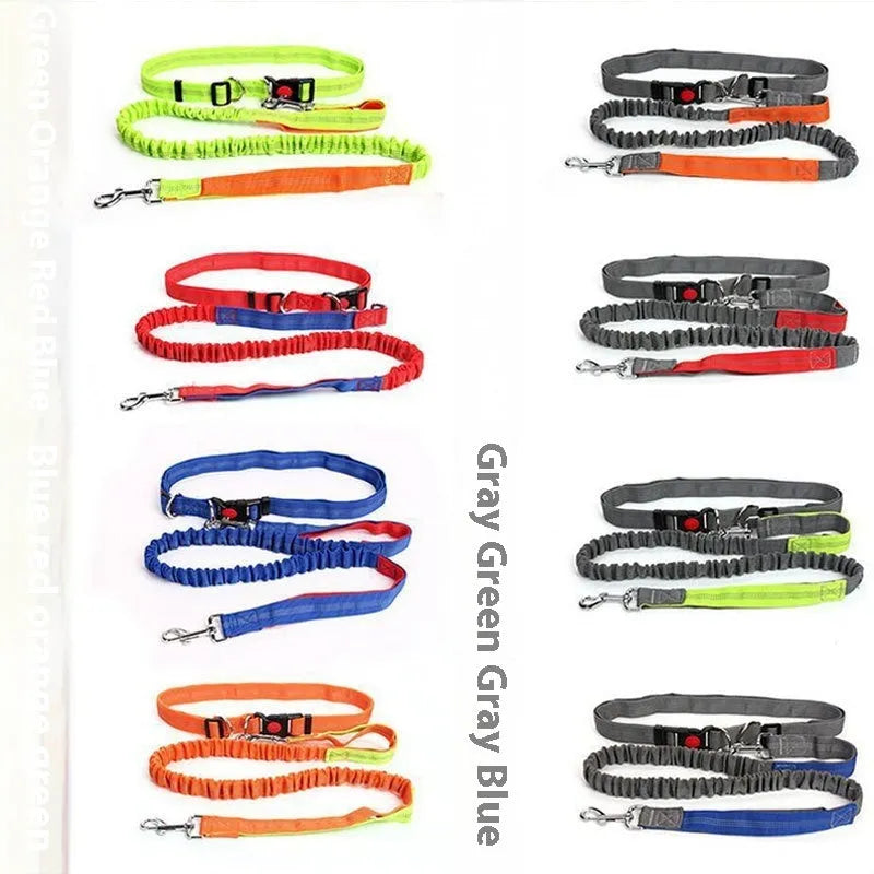 Grey and green elastic reflective dog leash for outdoor running with 2.5cm width