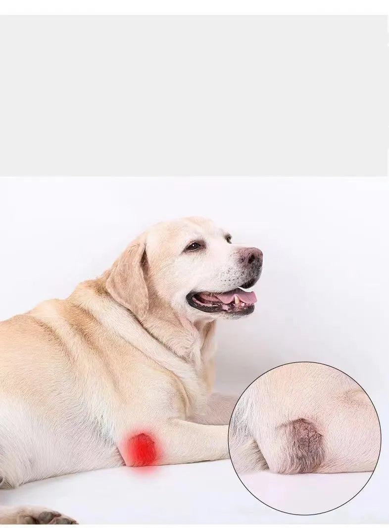 Dog leg support protector made of diving cloth and mesh with adjustable Velcro strap, shown on a dog's leg.