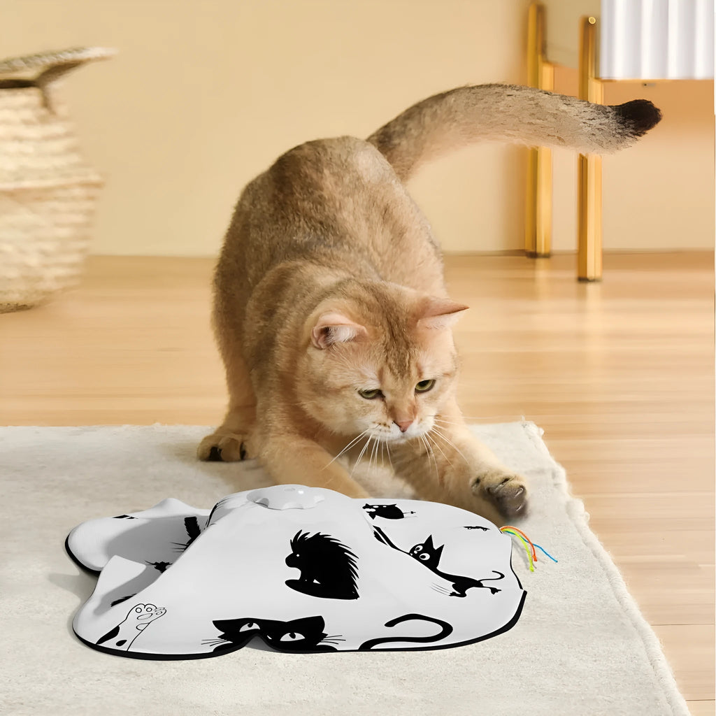 Automatic self-play cat teaser toy in picture colour, plastic construction.