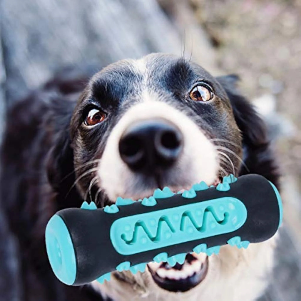 Natural rubber dog dental chew toy in blue with toothbrush texture for cleaning teeth.
