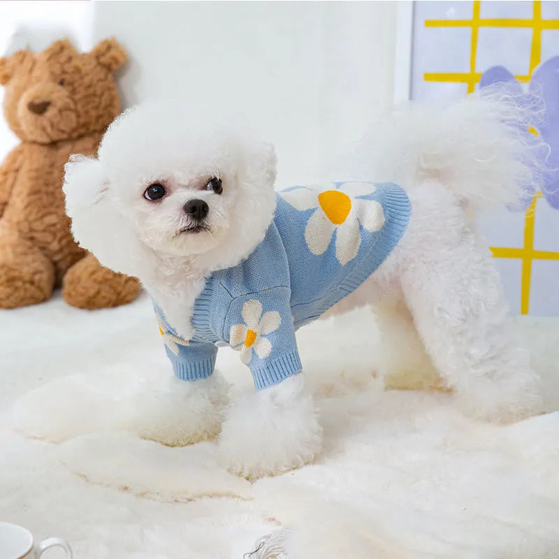 Blue hooded polyester sweater on a small dog, showing autumn winter pet coat design.