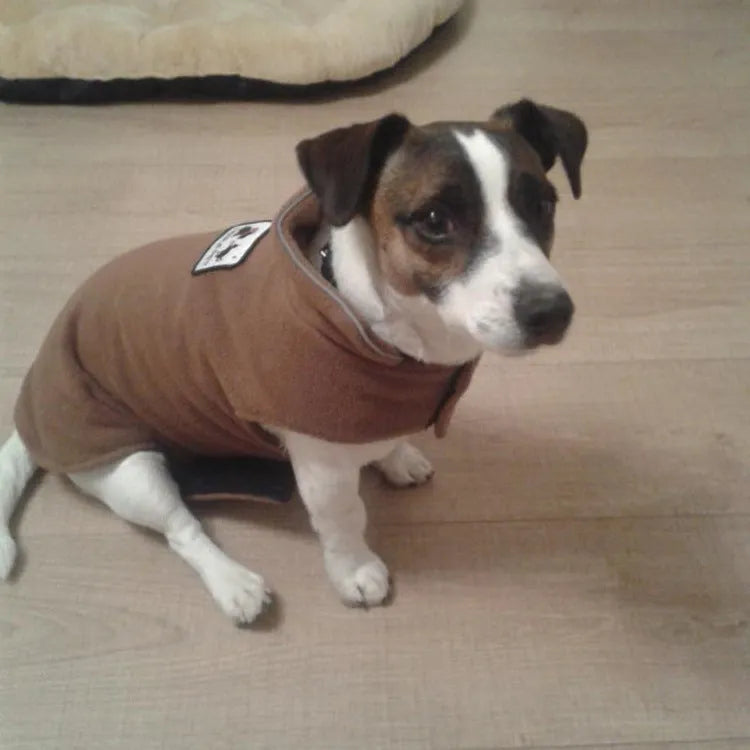Heather gray polar fleece double-sided dog vest with British style design on a small dog